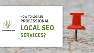 How To Locate Professional Local SEO Services