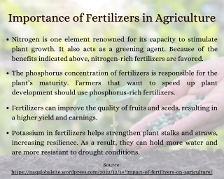 Impact of Fertilizers on Agriculture