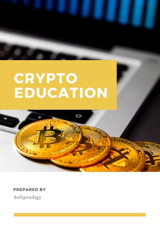 Crypto Education is the Way to Successful Crypto Adoption