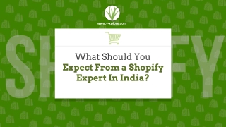 What Should You Expect From a Shopify Expert In India?