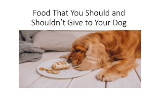 Food That You Should and Shouldn’t Give to