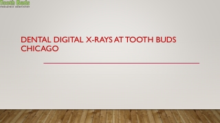 Dental Digital X-Rays At Tooth Buds Chicago