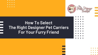 How To Select The Right Designer Pet Carriers For Your Furry Friend