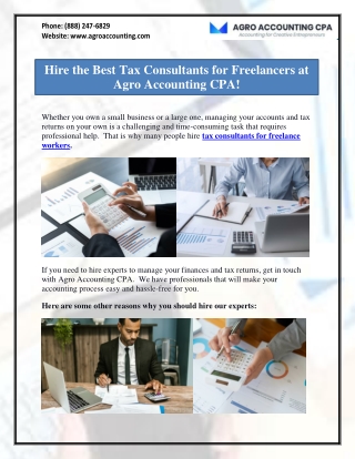 Hire the Best Tax Consultants for Freelancers at Agro Accounting CPA!