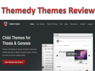 Themedy Themes Review