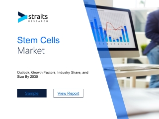 Stem Cells Market Demand, Top Share to 2030
