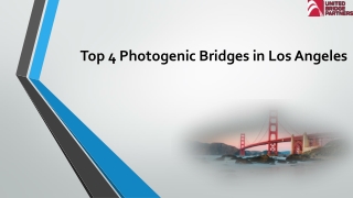 Top 4 Photogenic Bridges in Los Angeles