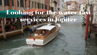 Looking for the water taxi services in Jupiter