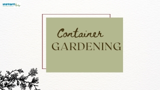Grow Your Own Garden Anywhere: Advantages of Container Gardening
