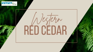 Tips To Take Care Of Your Western Red Cedar