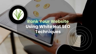Rank Your Website Using White Hat SEO Techniques