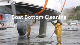 Best boat bottom cleaning services in South Florida