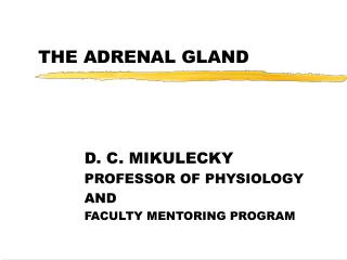 adrenal gl