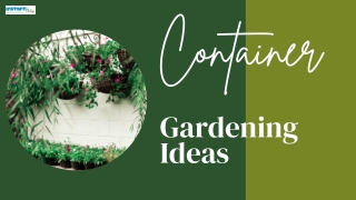 Container Gardening Designing Ideas To Design Your Garden Area