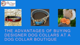 The Advantages of Buying Designer Dog Collars at a Dog Collar Boutique