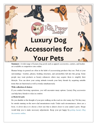 Luxury Dog Accessories for Your Pets
