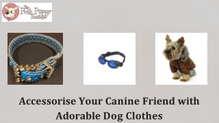 Accessorise Your Canine Friend with Adorable Dog Clothes