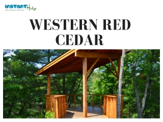 The Beauty and Benefits of Western Red Cedar