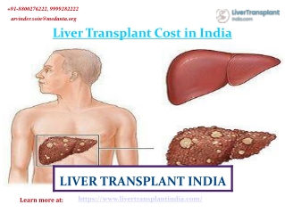 Cheap Liver transplant cost in India
