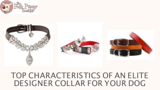 Top Characteristics of an Elite Designer Collar for Your Dog