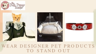 Wear Designer Pet Products to Stand Out