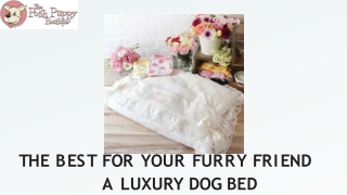 The Best for Your Furry Friend A Luxury Dog Bed