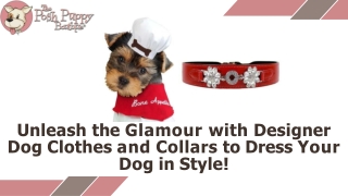 Unleash the Glamour with Designer Dog Clothes and Collars to Dress Your Dog in Style!