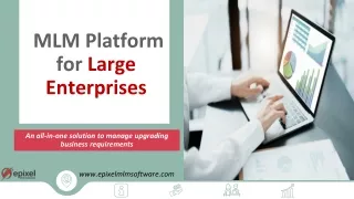 Exploring the Benefits of an MLM Platform for Large Enterprises