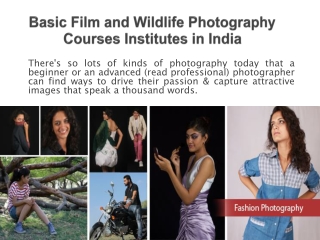 Basic Film and Wildlife Photography Courses Institutes in In