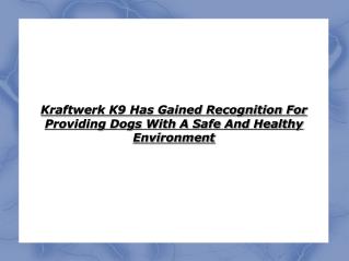 kraftwerk k9 has gained recognition for providing dogs with a safe and healthy environment