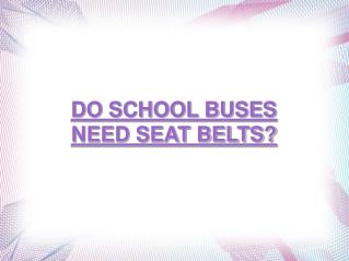 Elvis Kovacic: Do school buses need seat belts?