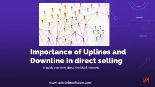 Uplines and Downlines: A Hierarchical View of Direct Sales Distributors