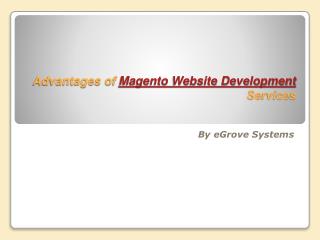 advantages of magento website development services