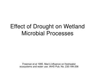Effect of Drought on Wetland Microbial Processes
