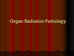 Organ Radiation Pathology
