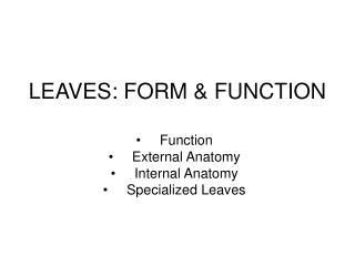 LEAVES: FORM &amp; FUNCTION