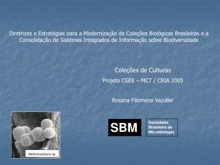 Diretrizes e Estratégias para a Modernização de Coleções Biológicas Brasileiras e a Consolidação de Sistemas Integrados