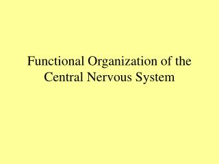 Functional Organization of the Central Nervous System