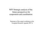 WP3 Strategic analysis of the future perspectives for cooperation and coordination