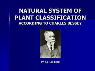 NATURAL SYSTEM OF PLANT CLASSIFICATION ACCORDING TO CHARLES BESSEY BY: ASHLEY BECK