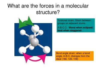 What are the forces in a molecular structure?