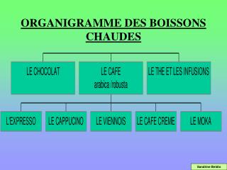 ORGANIGRAMME DES BOISSONS CHAUDES