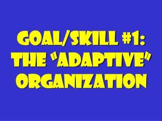 Goal/Skill #1: The “Adaptive” Organization