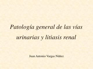 Patología general de las vías urinarias y litiasis renal