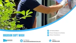 The Right Questions To Ask Your Soft Wash Service Provider