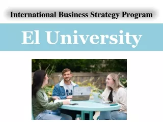 International Business Strategy Program