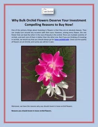 Why Bulk Orchid Flowers Deserve Your Investment Compelling Reasons to Buy Now!