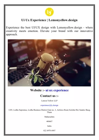 Ui Ux Experience    Lemonyellow.design