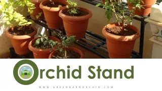 Enhance Your Orchid Display with an Orchid Stand