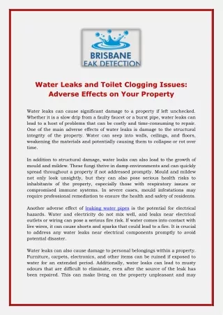Water Leaks and Toilet Clogging Issues: Adverse Effects on Your Property